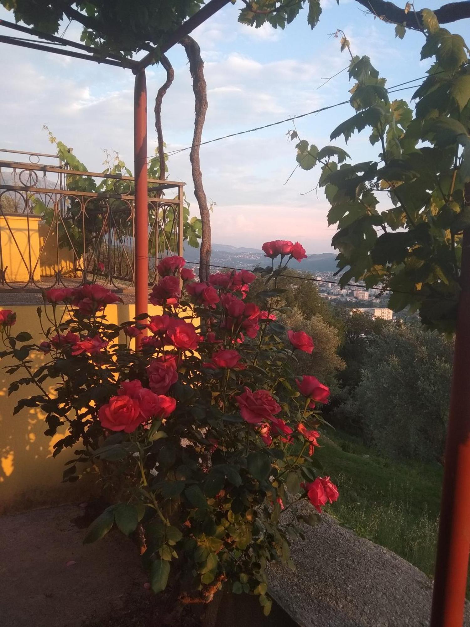 Apartman "Marko" Bar Exterior foto